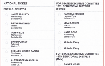 Sample Ballots now online